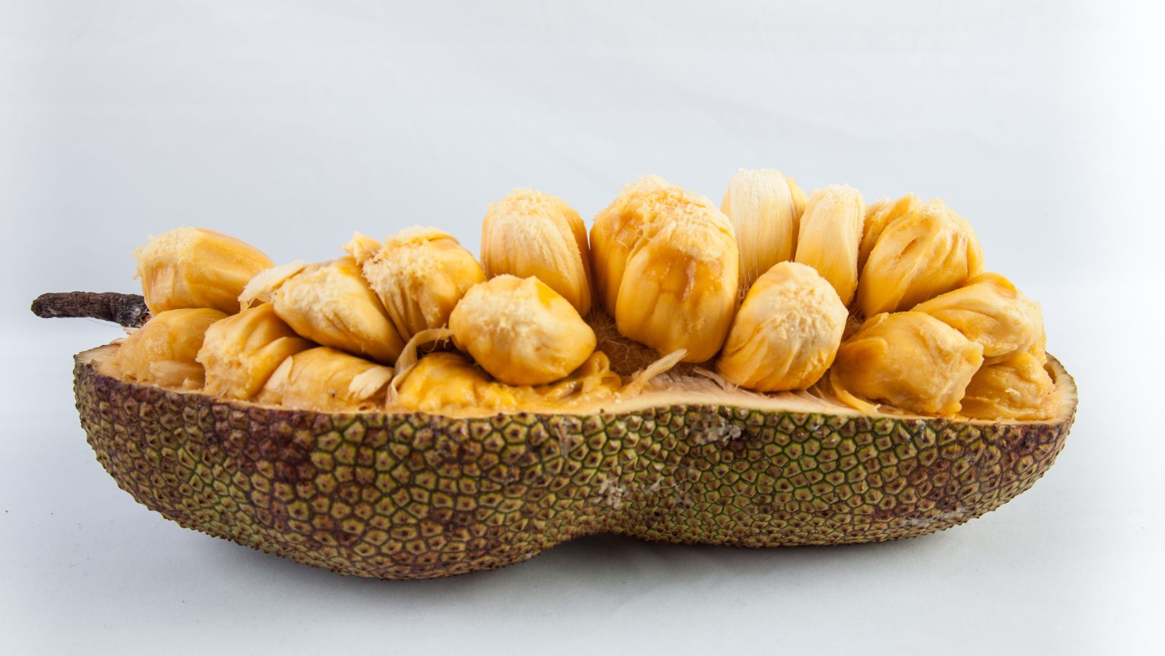 jackfruit in food (2)